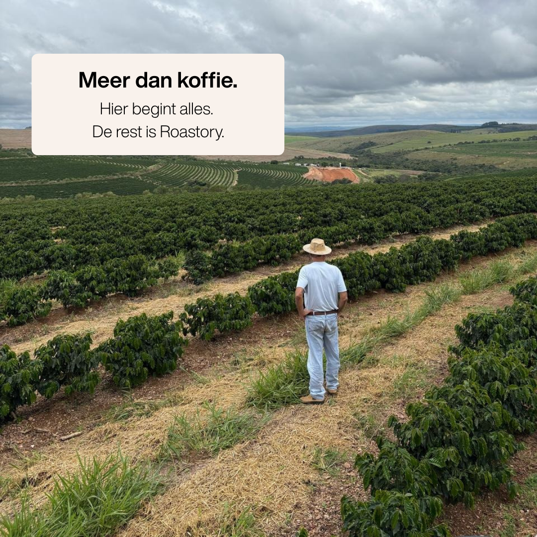 Roastory Medium Roast Blend