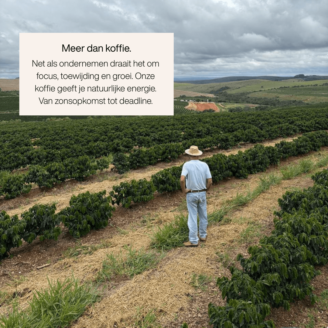 Roastory Dark Roast – De Koffie voor Ondernemers met Focus en Discipline