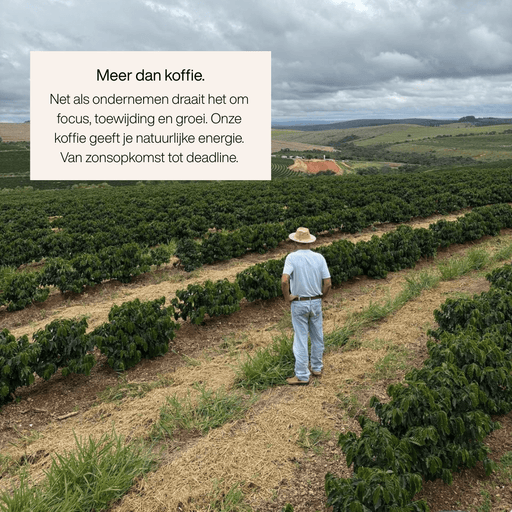 Roastory Dark Roast Blend